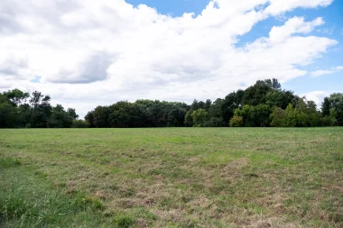 Parc Floral de Bordeaux (18).